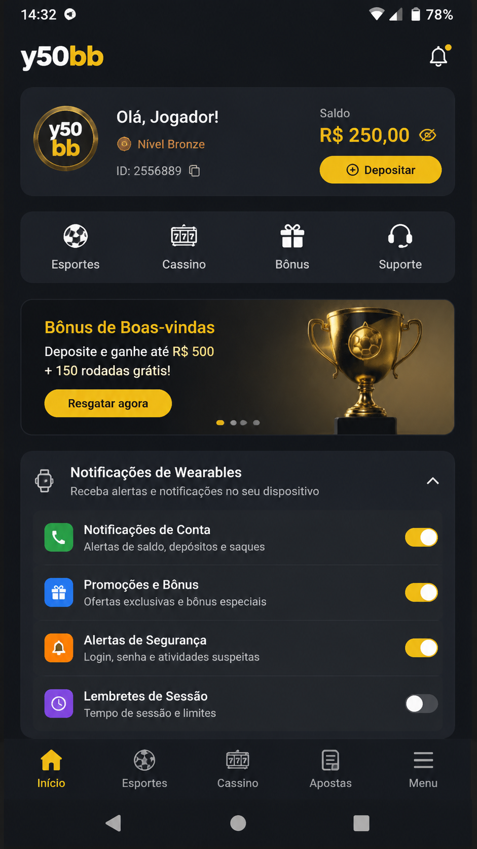 y50bb screenshot