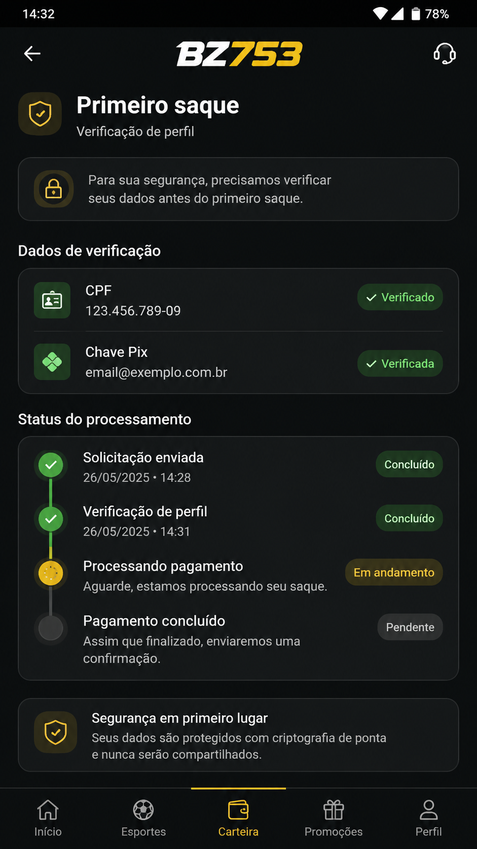 bz753 screenshot