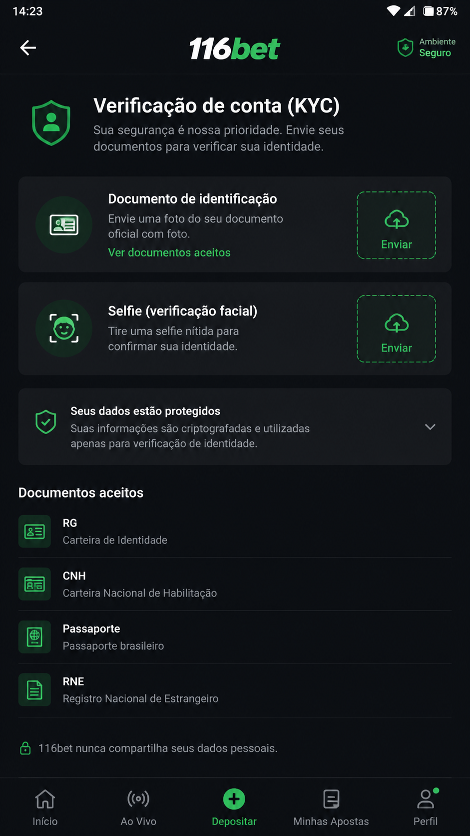 116bet screenshot