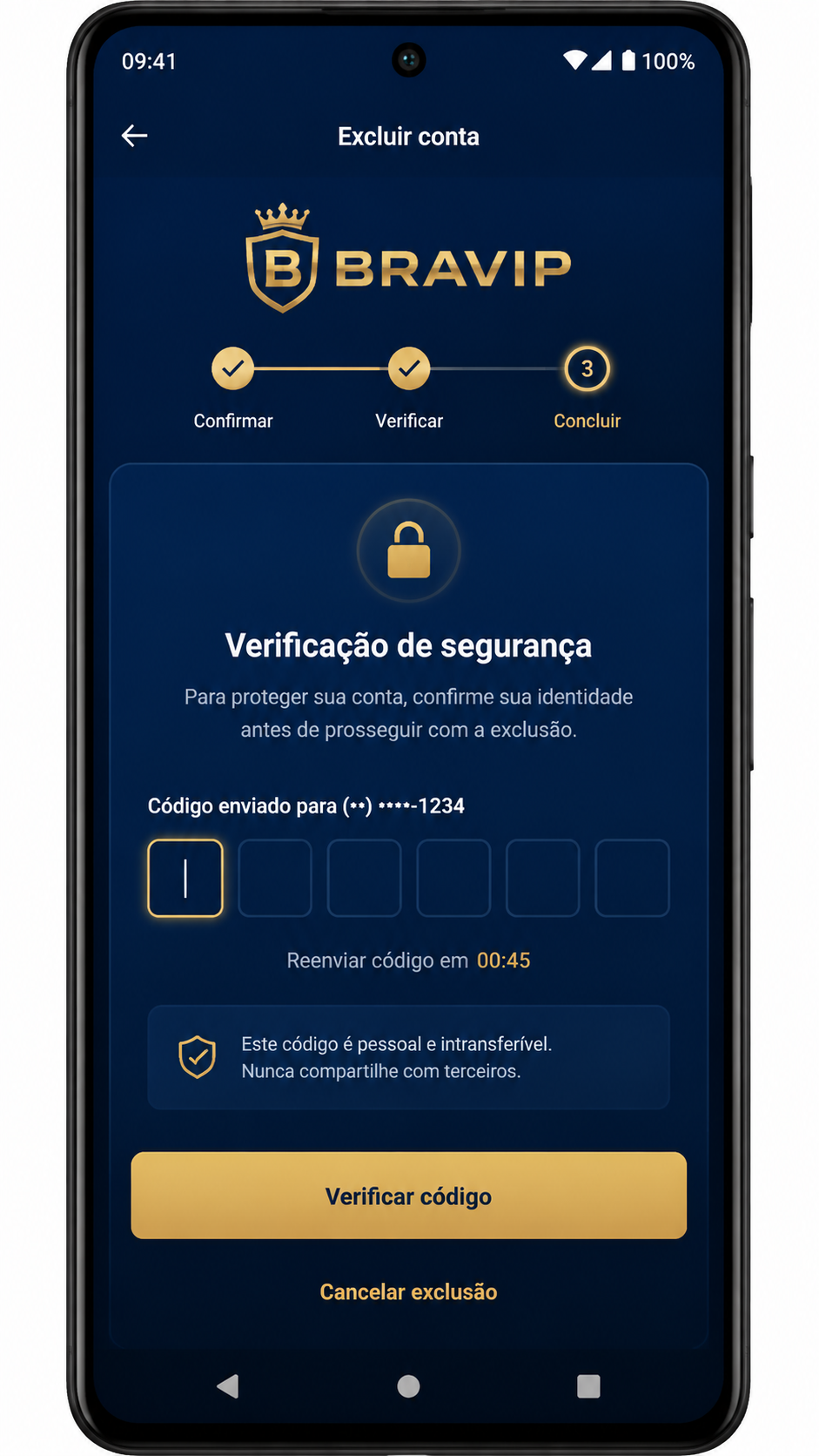 Bravip screenshot