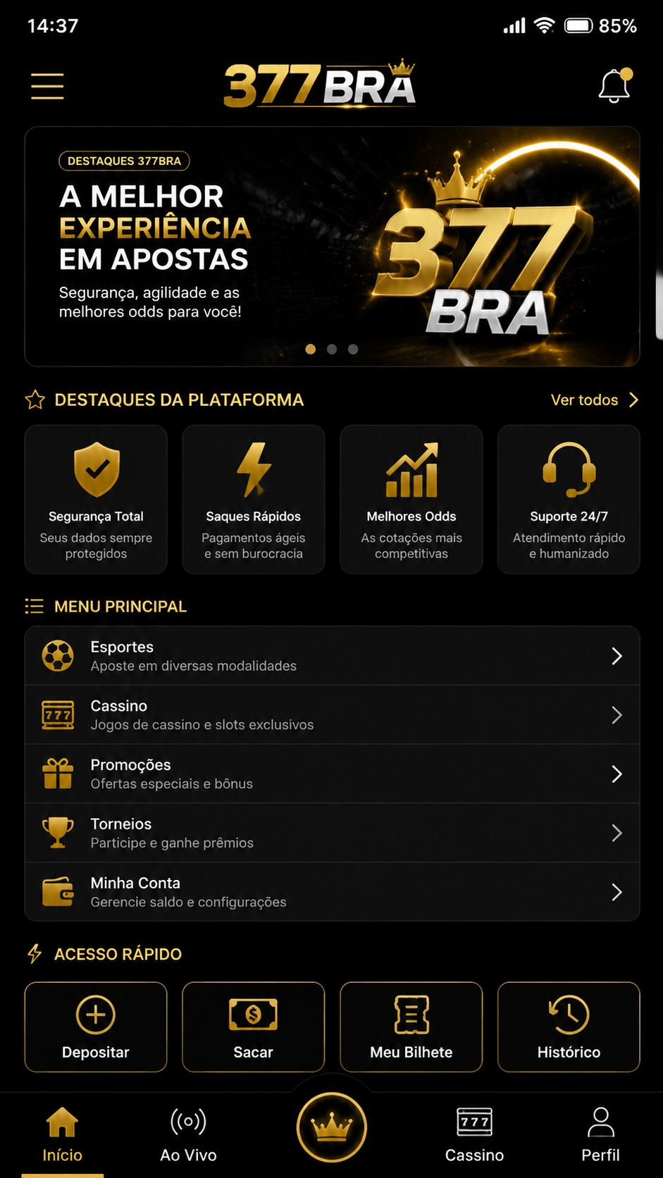 377bra screenshot