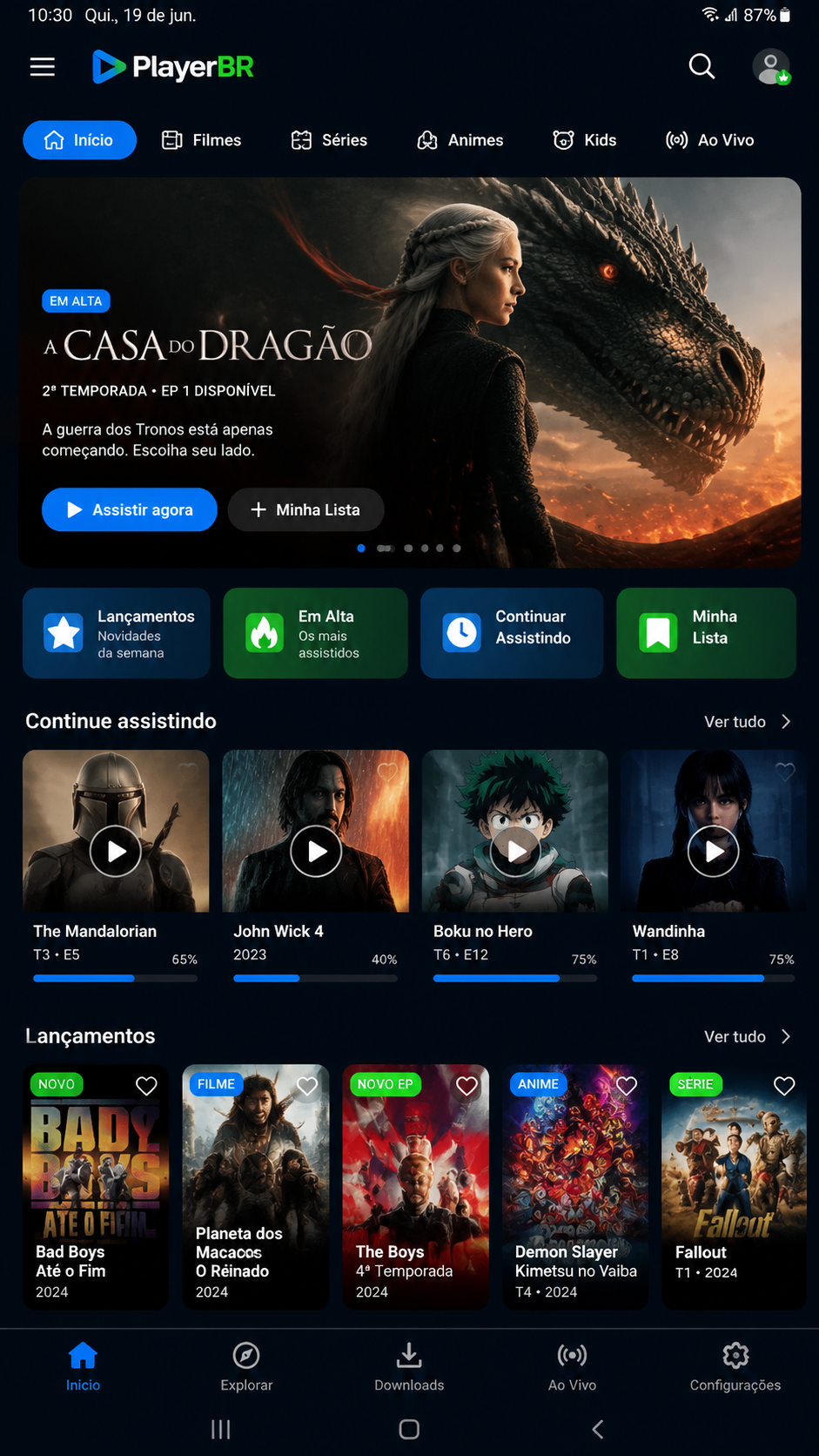 PlayerBR screenshot