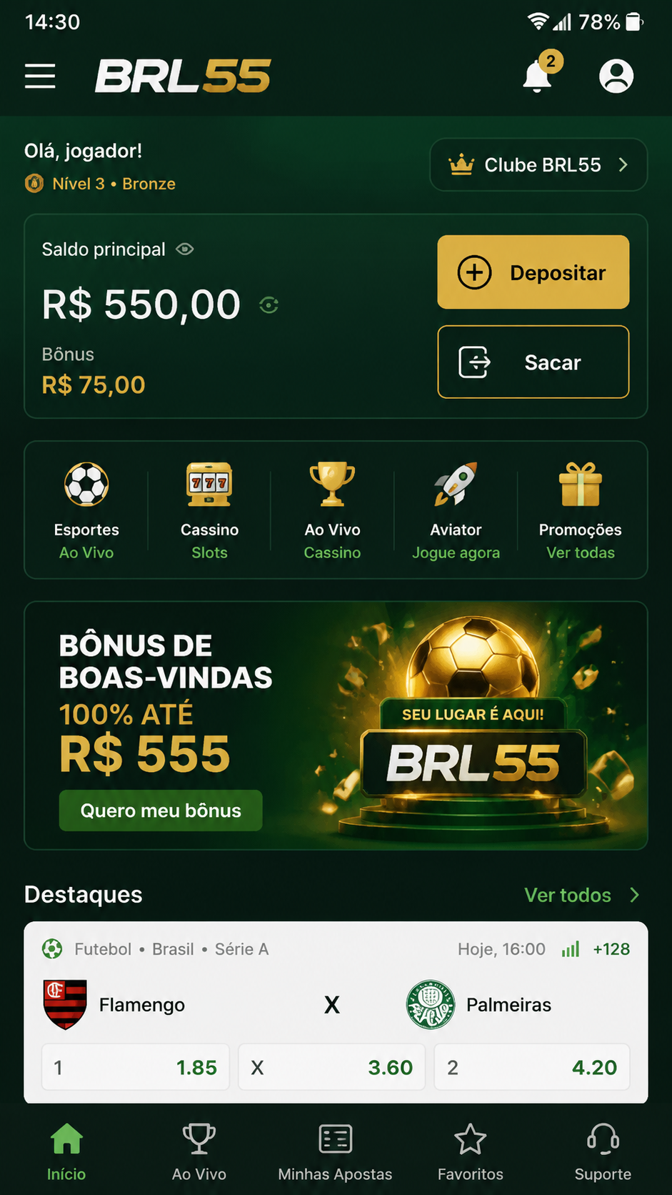 brl55 screenshot