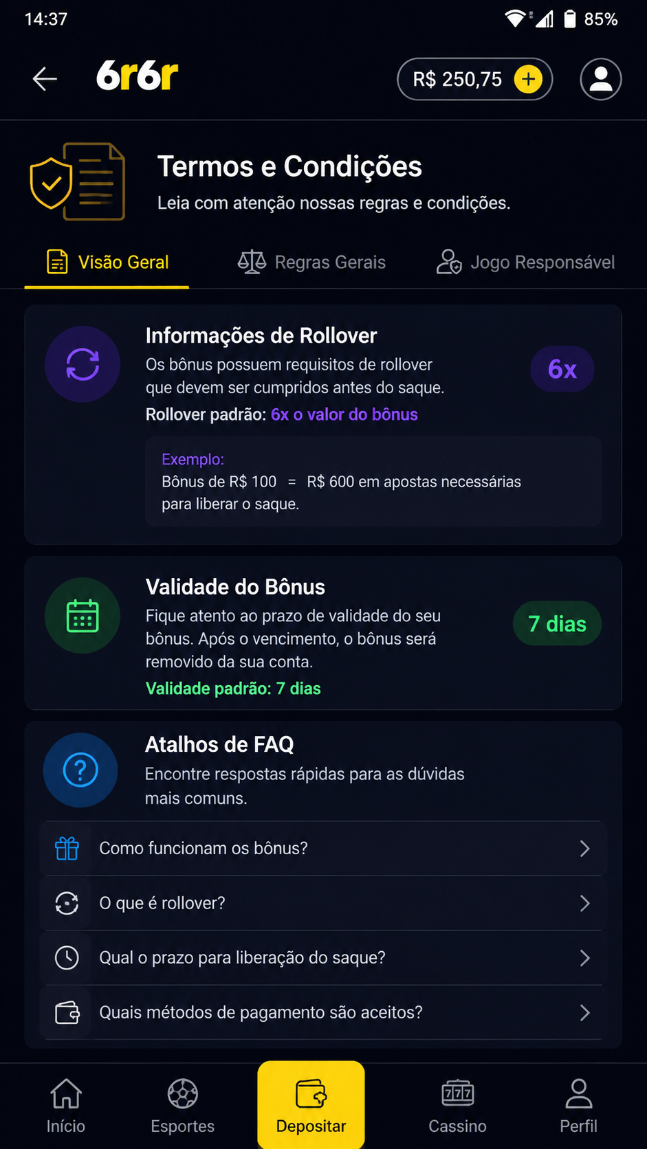 6r6r screenshot